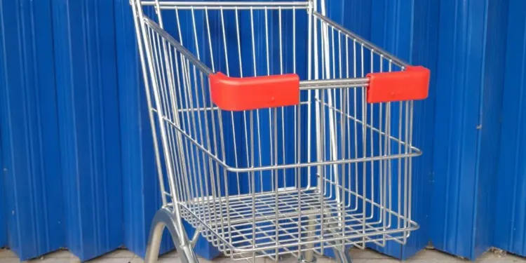 Jual Trolley Mini 30 Litter 